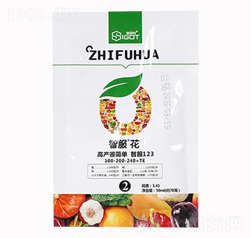 �Ƿ���100-200-240+TE-ِ����