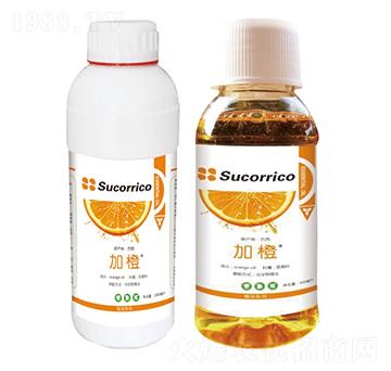 �ӳȾ���-�A��