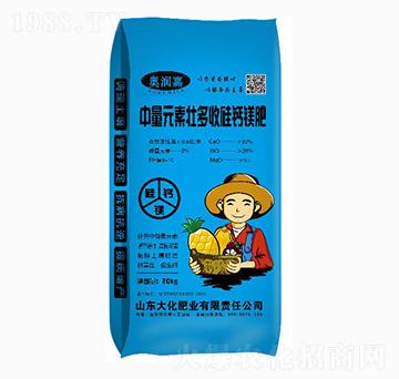 ����Ԫ�؉Ѷ��չ��}�V��-�󻯷ʘI(y��)