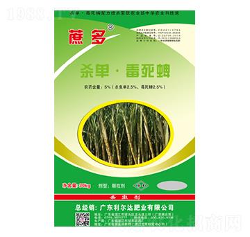 ������Ρ�������-�����_(d��)