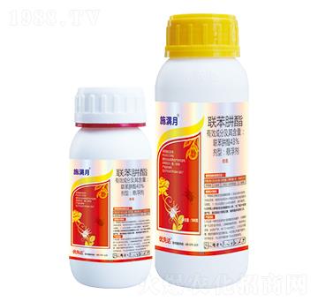 43%(li��n)������-ʩ�M(m��n)��-��(y��u)���_(d��)