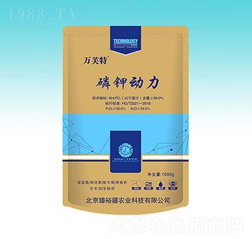 ��⛄�(d��ng)��-��ԣ��