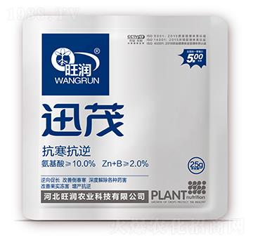 ��������-Ѹï-����(r��n)�r(n��ng)