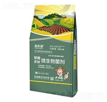 ���Ƕ���΢�������-��(y��u)��(l��)��-�P��˹