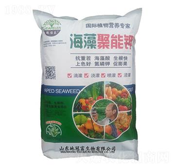 ��������-�عڸ�