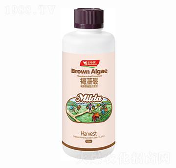 褐藻寡糖復(fù)合原液-褐藻硼-豐華肥業(yè)