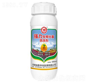 �����������������-���S�Ƽ�