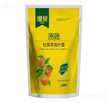 �ݲݡ�ѿ�ߗU��-����-��(x��)ؐ-������