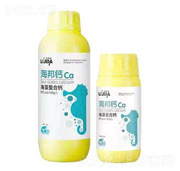 ���������}-�����}-������