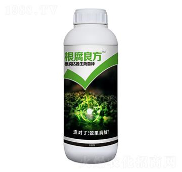 ��������-������