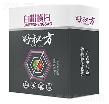 �׷ۙM��-���ط�-������