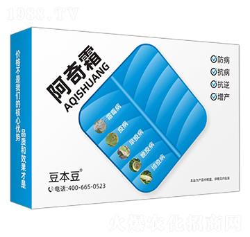 ����˪-������