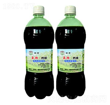 ���ǡ��}�V-���