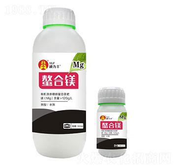 �����V��-�T���S����