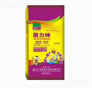 ��(f��)���������-������-������ʘI(y��)