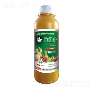 �I�B(y��ng)��sҺ-��(y��u)���a-�и�����