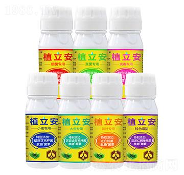 ���ֲ����ϵ�в�������-�G������