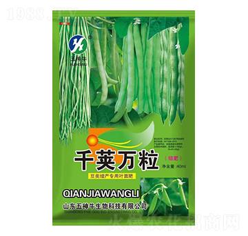 ������~���-ǧ�v�f(w��n)��-����ţ