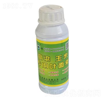 �������׌����~����-���̷ʘI(y��)