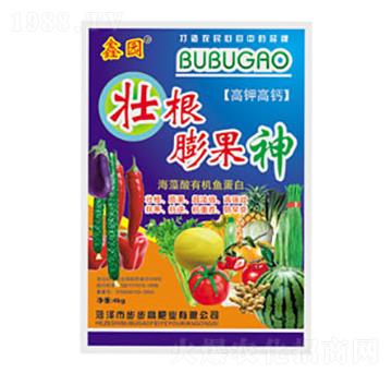 �Ѹ������-�Έ@-����