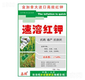 ���ܼt�-�Έ@-������