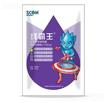 ���ġ��������߾�-������-˹��ķ