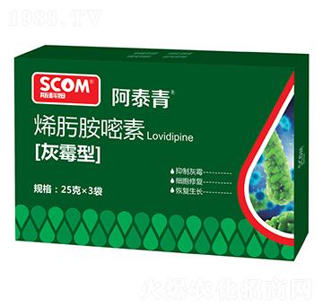 ��ù��ϩ뿰�����-��̩��-˹��ķ