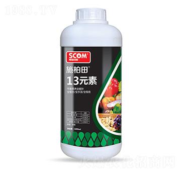 13Ԫ��-ʩ����-˹��ķ