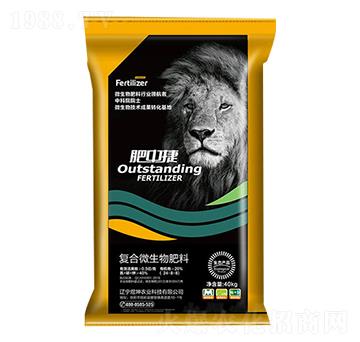 �ͺ�΢�������24-8-8-���н�-����