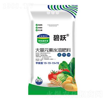 ƽ���ʹ���Ԫ��ˮ�ܷ���19-19-19+TE-���S-�пƝ�(r��n)���S