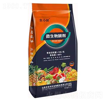 5�|΢�������-�rС��-���r�п�