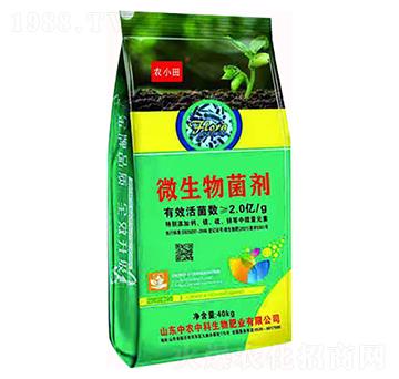 ΢�������-�rС�����-���r�п�