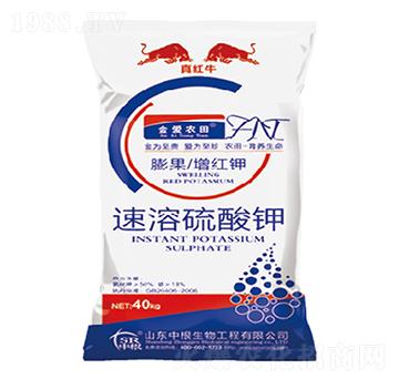 ���������-�и�����