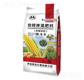 ��ጓ������28-6-6-��������