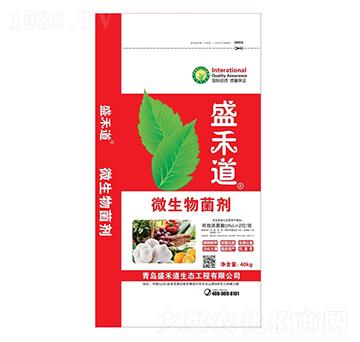 ΢�������-ʢ�̵�