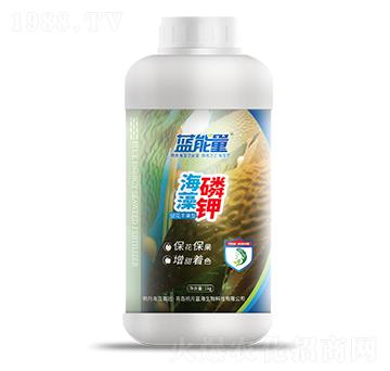 1kg�ٻ��S���ͺ������-�{����