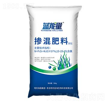 �w���������19-19-19-�{����