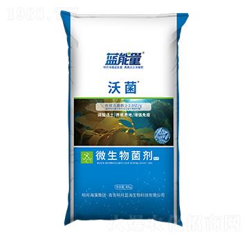 ΢�������-�־�-�{(l��n)����