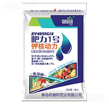 �ߝ�ȼ������-����1̖-�Wِ˹