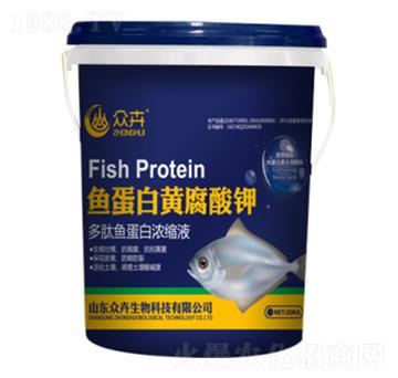 �~�����S�����-��������