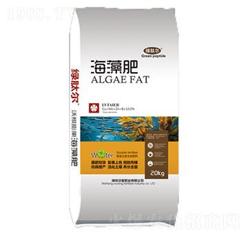 ��������\��}�V-���ǷʘI(y��)