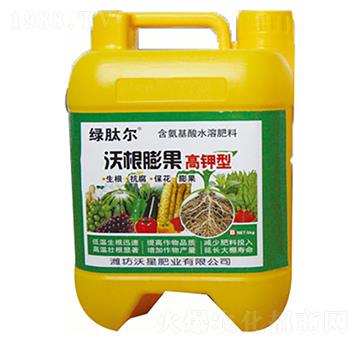 ������ָ����-���ǷʘI(y��)