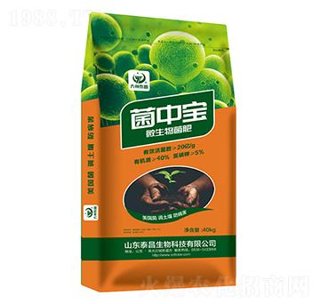 ΢�������-���Ќ�-̩������