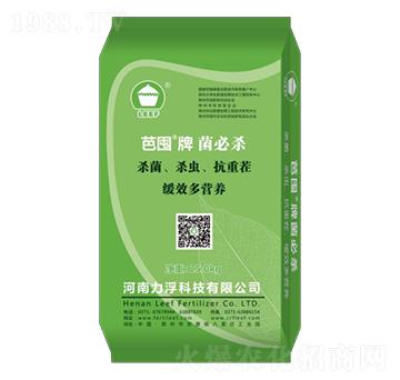 ���ؚ�-�Ŷ�-�����Ƽ�