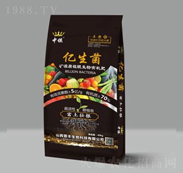 40kg�|����-���(zh��n)-�x�S����