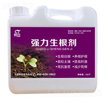 ��(qi��ng)��������-����-�֮��