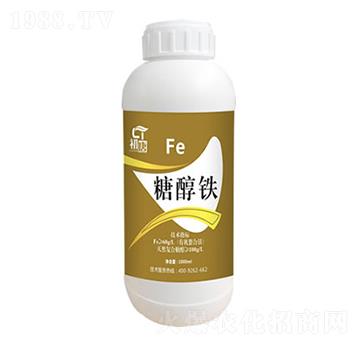 �Ǵ��F-����-�֮��