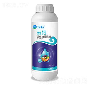 ���w�Ǵ��}��-���}-����