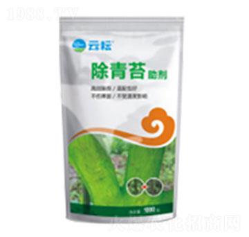 ����̦����-����