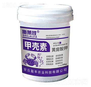 �ך����S�����-ʩ�R��-ӯ�S�r�I(y��)